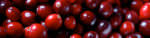 PageLines- cranberries_banner_photobyLizWest.jpg