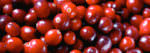 PageLines- cranberries_photobyLizWest_banner.jpg