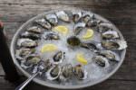 oysters-734484_640