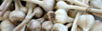 PageLines- Garlic_PromisedLand_Nov2013_banner_1200x367.jpg