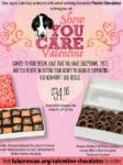 Lulu’s Rescue_Pierre’s Chocolates_V-Day special_crop