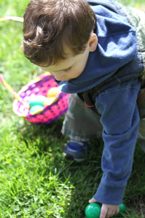 Kid Hunting for Eggs, Shady Brook Farm