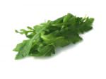 Arugula from Blue Moon Acres