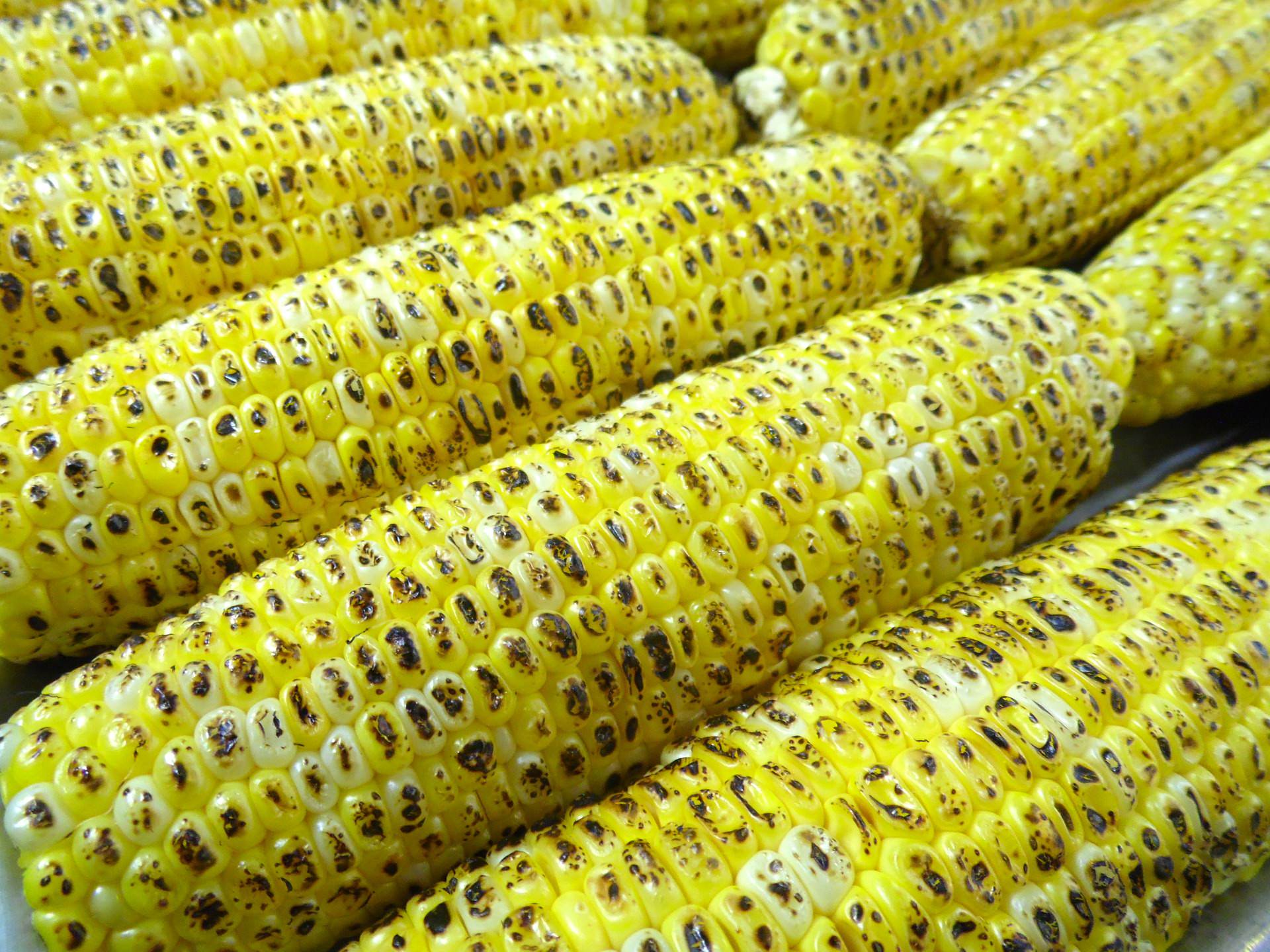 Corn on the Cob, PIxabay