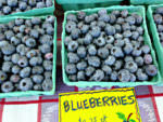 Solebury Orchards blueberries_photo credit Lynne Goldman_450x338