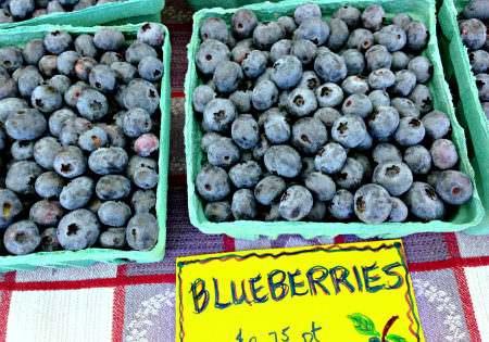 Solebury Orchards blueberries_photo credit Lynne Goldman