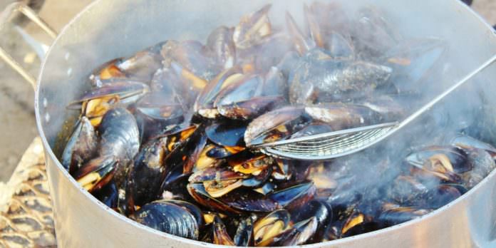 Mussels