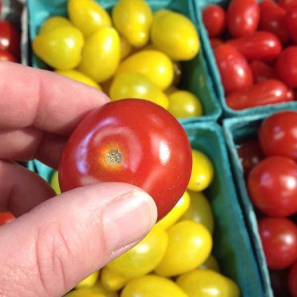 Shady Brook Farm Tomatoes