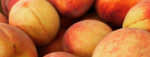 PageLines- Peach_peaches_Manoff_banner_1100x420.jpg