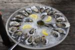 oysters-734484_1920