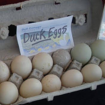 Duck Eggs, Doylestown Farmers Market