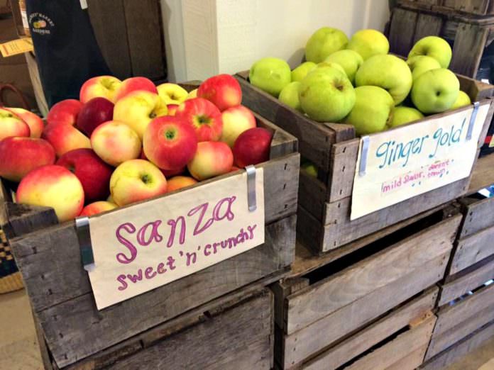 Manoff Market Gardens Apples