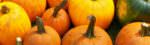 october-pumpkins-banner