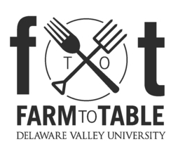Farm to table dinner