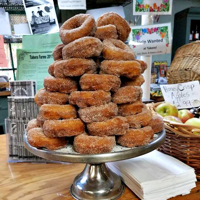 Apple cider donuts at Tabora Farms; photo courtesy Tabora Farm