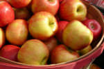 honey-crisp-apples