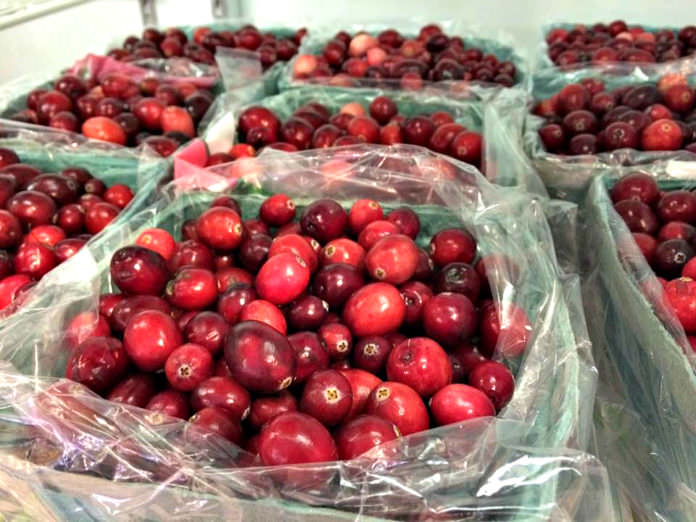 Cranberries, Manoff Market