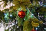 holiday-ball-decoration-tree-77036