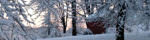 PageLines- Snowysunrise_banner.jpg