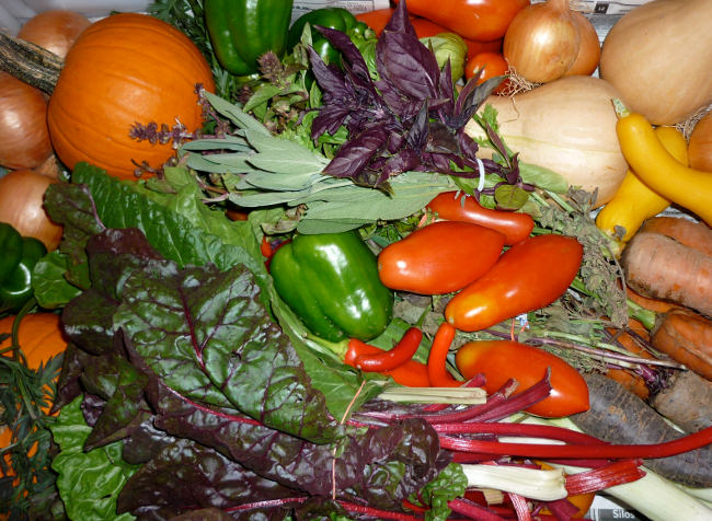 Fruits and veggies from Myerov Farm's CSA