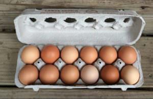 Eggs from Yardley Farmers Market