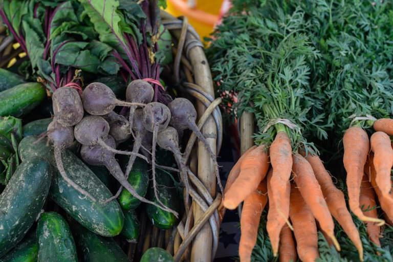 Lower Makefield Farmers Market