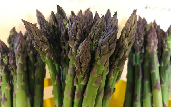 Asparagus from Wrightstown Farmers Market