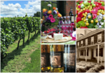 Wycombe Vineyards_Fancy Fig collage_Aug 4 2017