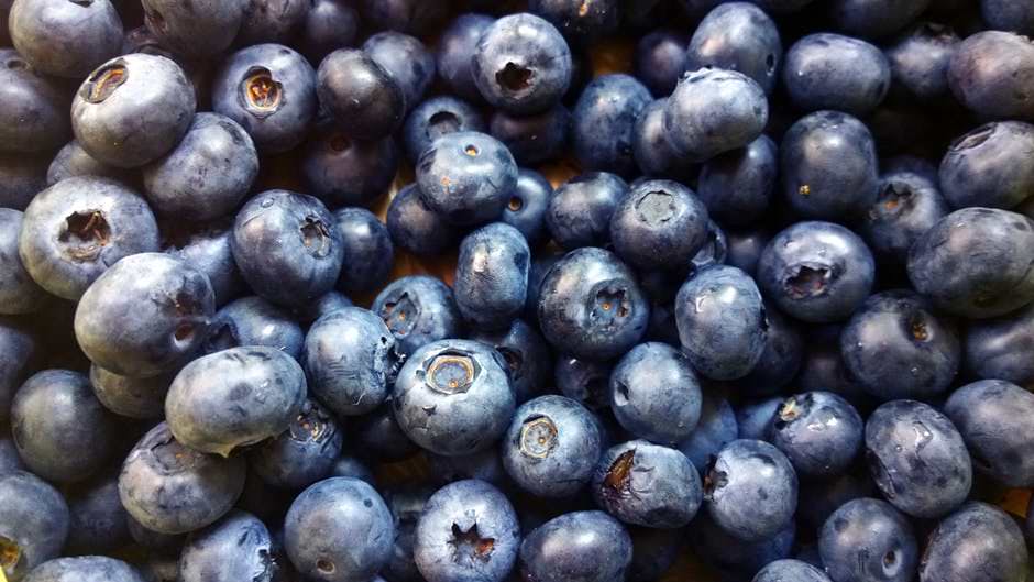 blueberries, Unsplash photo credit