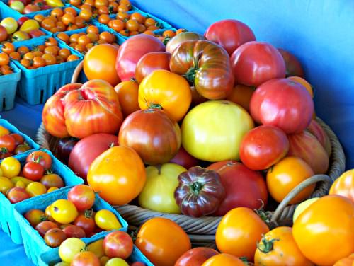 Tomatoes; photo credit Lynne Goldman