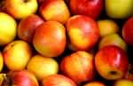 apple-fruit-fruits-delicious-162806