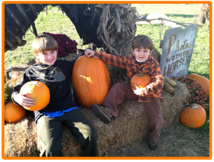 Pumpkin Patch at Sleepy Hollow