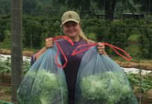 Becca at Tinicum CSA Farm holds lettuce for Rolling Harvest Food Rescue; photo credit Tinicum CSA