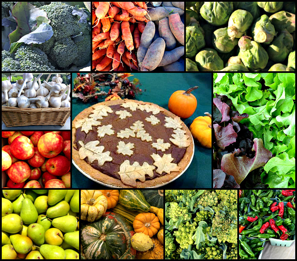 Nov 16 2017 farmers market collage; photo credit Lynne Goldman