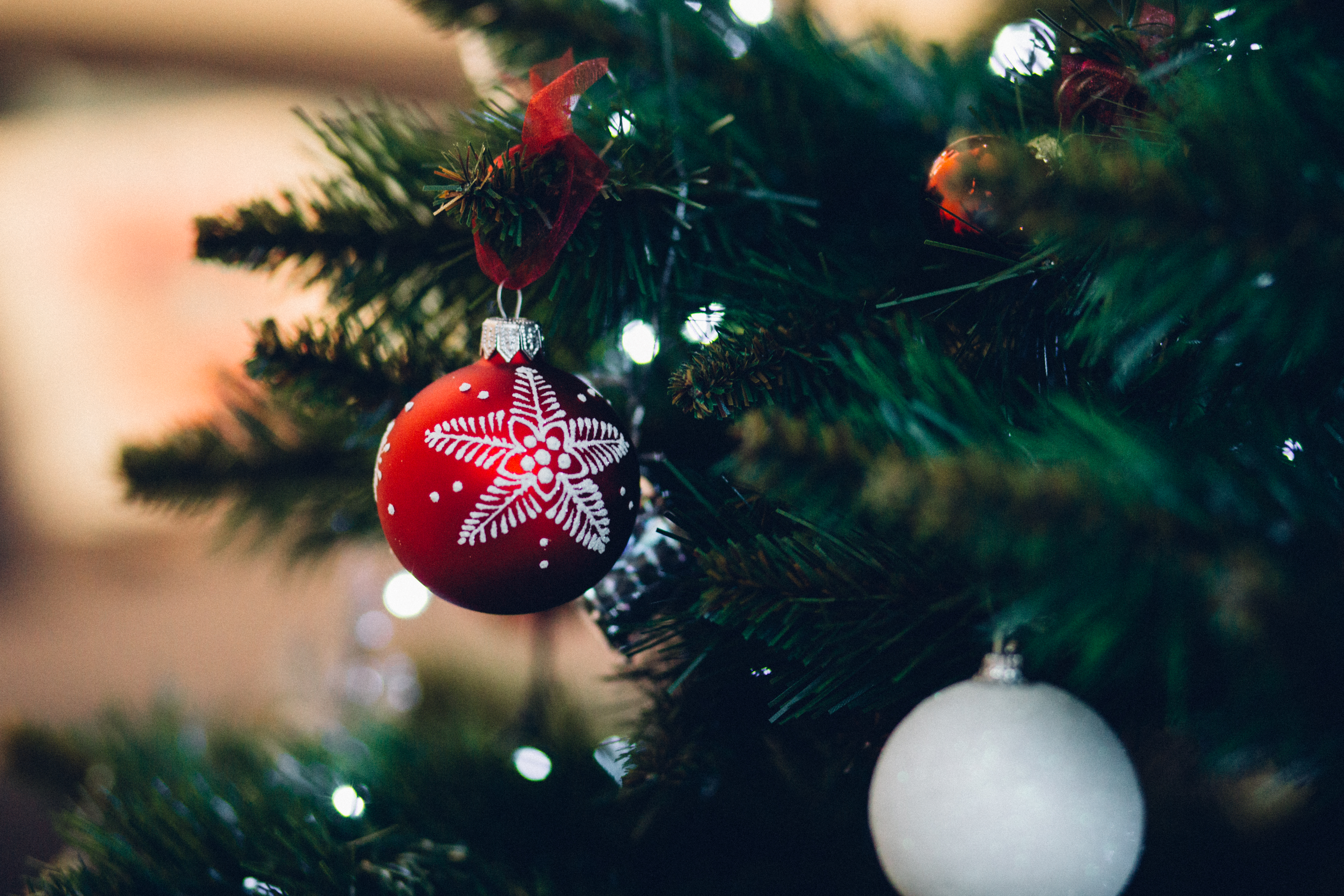 Christmas Tree, Pexels