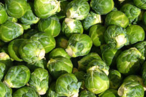 Brussel Sprouts from Doylestown Farmers Market