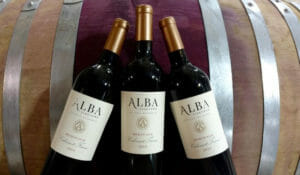 Alba Vineyards