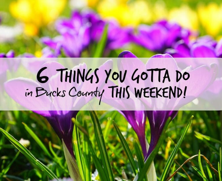 6 Things You Gotta Do in Bucks County This Weekend (April 27-29)
