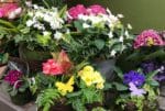 Spring-Container-Baskets-1