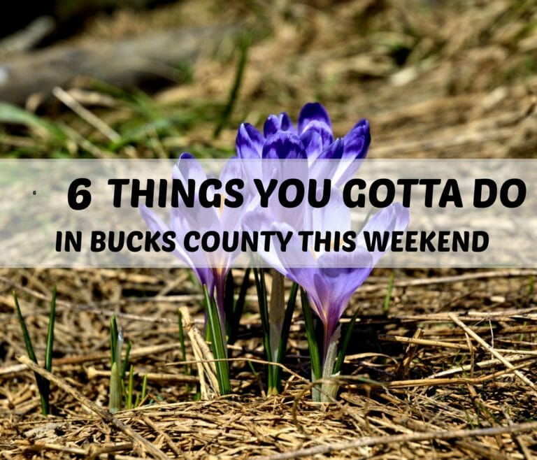 6 Things You Gotta Do in Bucks County This Weekend (April 6-8)