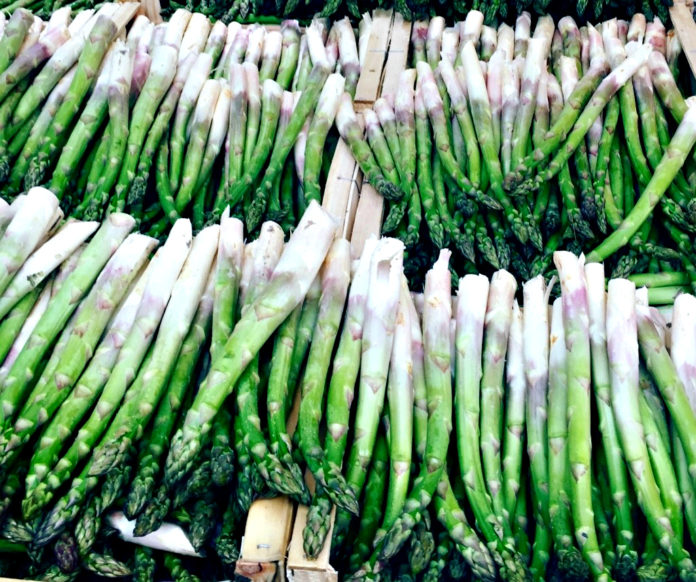 Asparagus_photo credit Martine Bertin-Peterson Asparagus_photo credit Martine Bertin-Peterson